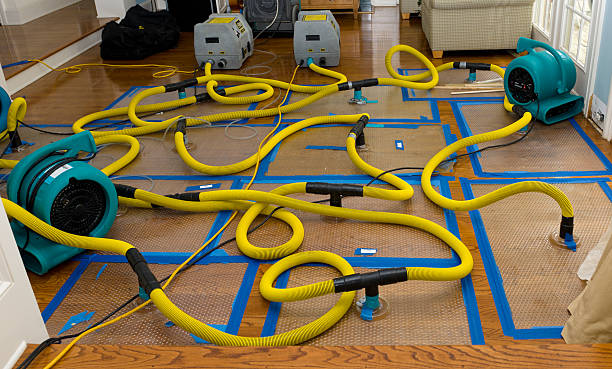 Professional Water Damage Repair technician working in Saratoga, WY
